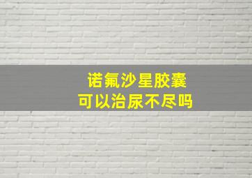 诺氟沙星胶囊可以治尿不尽吗