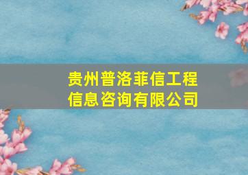 贵州普洛菲信工程信息咨询有限公司