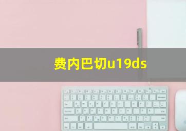 费内巴切u19ds