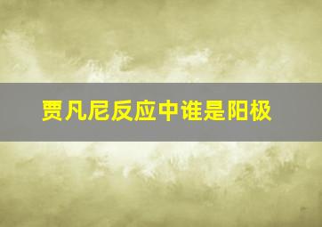 贾凡尼反应中谁是阳极