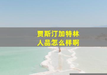 贾斯汀加特林人品怎么样啊