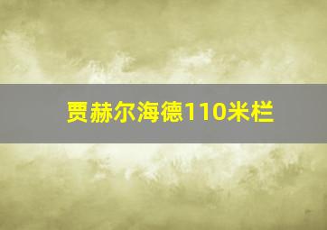 贾赫尔海德110米栏