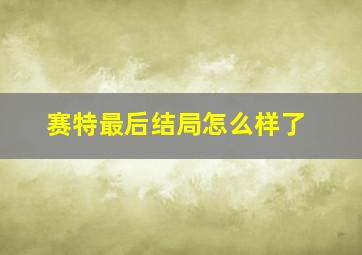 赛特最后结局怎么样了