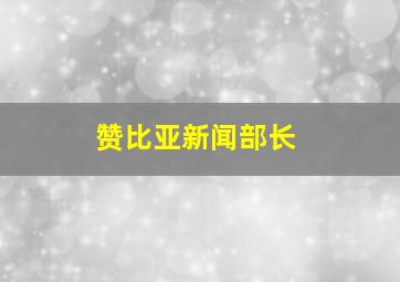 赞比亚新闻部长