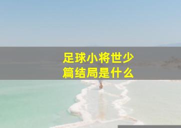 足球小将世少篇结局是什么