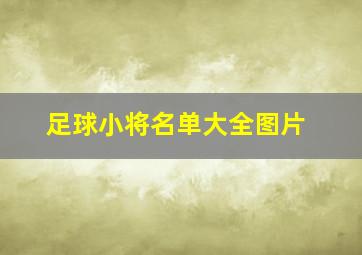 足球小将名单大全图片