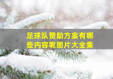 足球队赞助方案有哪些内容呢图片大全集