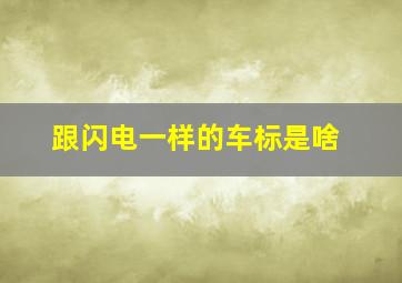 跟闪电一样的车标是啥