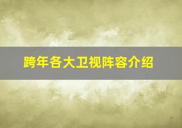 跨年各大卫视阵容介绍