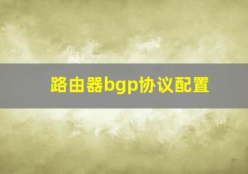 路由器bgp协议配置