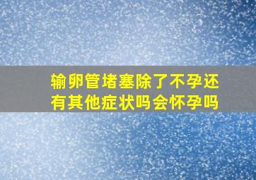 输卵管堵塞除了不孕还有其他症状吗会怀孕吗