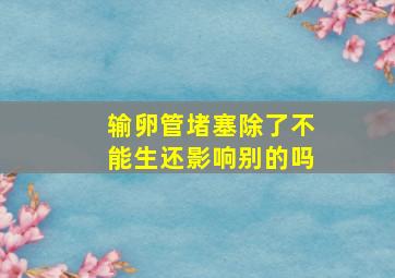 输卵管堵塞除了不能生还影响别的吗