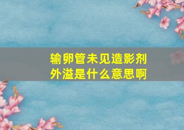 输卵管未见造影剂外溢是什么意思啊