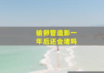 输卵管造影一年后还会堵吗