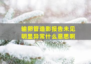 输卵管造影报告未见明显异常什么意思啊