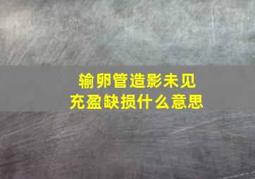 输卵管造影未见充盈缺损什么意思