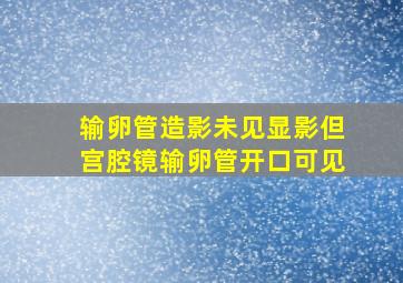 输卵管造影未见显影但宫腔镜输卵管开口可见