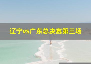 辽宁vs广东总决赛第三场