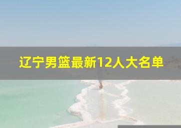 辽宁男篮最新12人大名单