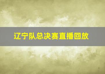 辽宁队总决赛直播回放