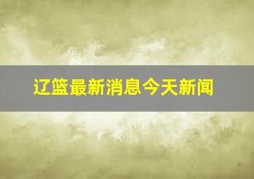 辽篮最新消息今天新闻