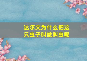 达尔文为什么把这只虫子叫做叫虫呢