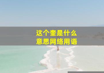 这个奎是什么意思网络用语