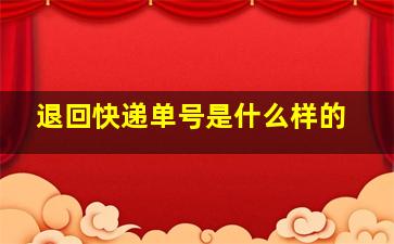 退回快递单号是什么样的