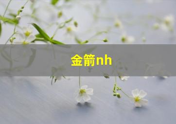 金箭nh