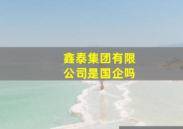 鑫泰集团有限公司是国企吗