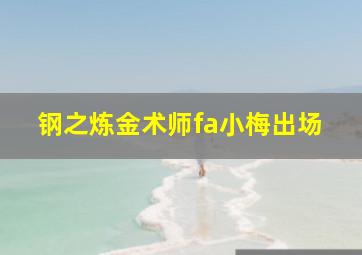 钢之炼金术师fa小梅出场