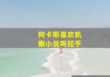 阿卡斯喜欢凯撒小说吗知乎