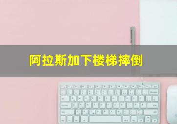 阿拉斯加下楼梯摔倒