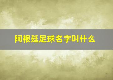 阿根廷足球名字叫什么