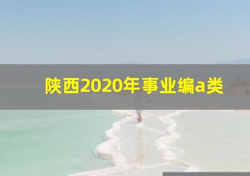 陕西2020年事业编a类