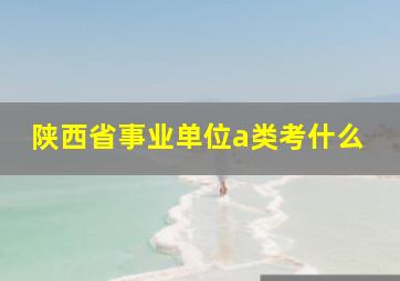 陕西省事业单位a类考什么