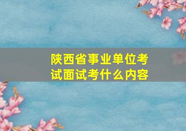 陕西省事业单位考试面试考什么内容