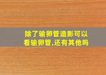 除了输卵管造影可以看输卵管,还有其他吗