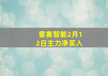 雷赛智能2月12日主力净买入