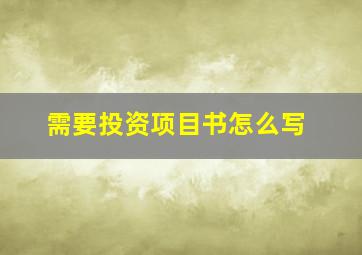 需要投资项目书怎么写