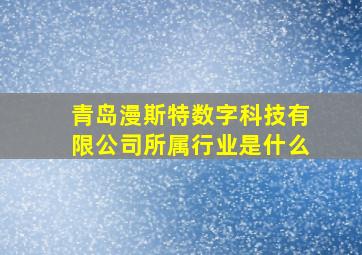 青岛漫斯特数字科技有限公司所属行业是什么