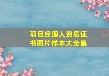 项目经理人资质证书图片样本大全集