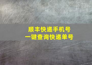 顺丰快递手机号一键查询快递单号