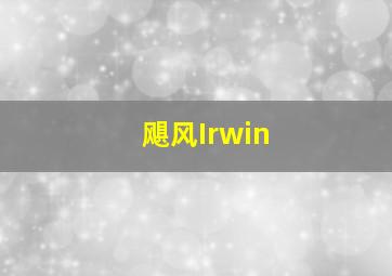 飓风Irwin