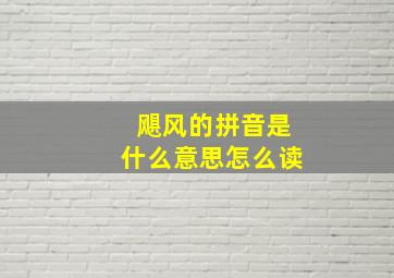 飓风的拼音是什么意思怎么读