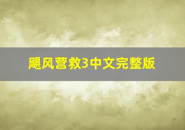 飓风营救3中文完整版