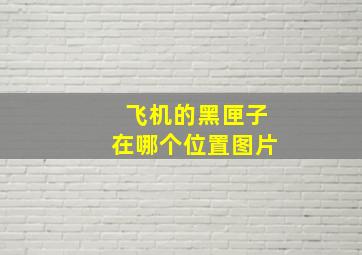 飞机的黑匣子在哪个位置图片