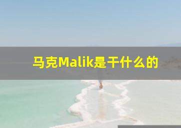 马克Malik是干什么的