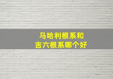 马哈利根系和吉六根系哪个好