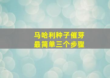 马哈利种子催芽最简单三个步骤